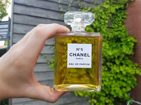 fragrances similar to chanel 5.